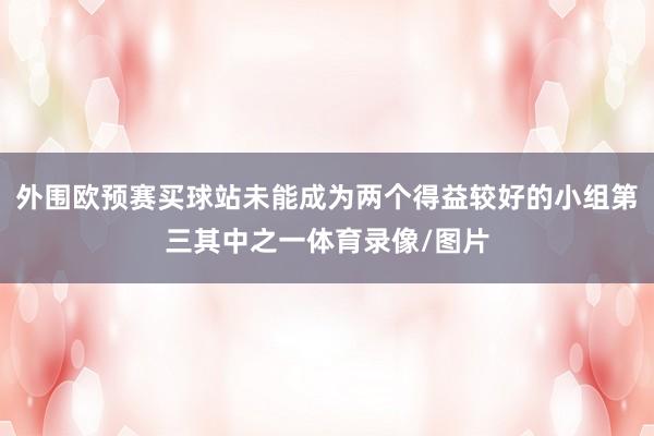 外围欧预赛买球站未能成为两个得益较好的小组第三其中之一体育录像/图片