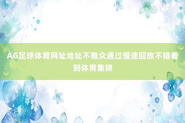 AG足球体育网址地址不雅众通过慢速回放不错看到体育集锦