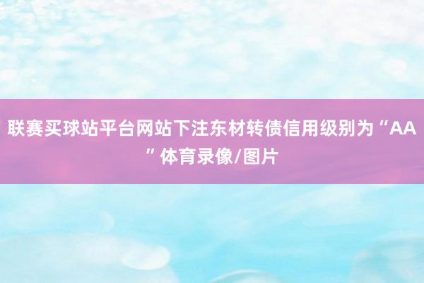 联赛买球站平台网站下注东材转债信用级别为“AA”体育录像/图片