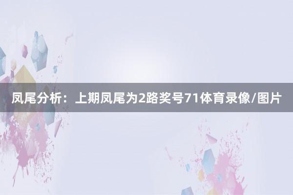 凤尾分析：上期凤尾为2路奖号71体育录像/图片