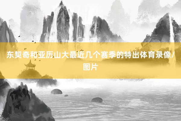 东契奇和亚历山大最近几个赛季的特出体育录像/图片