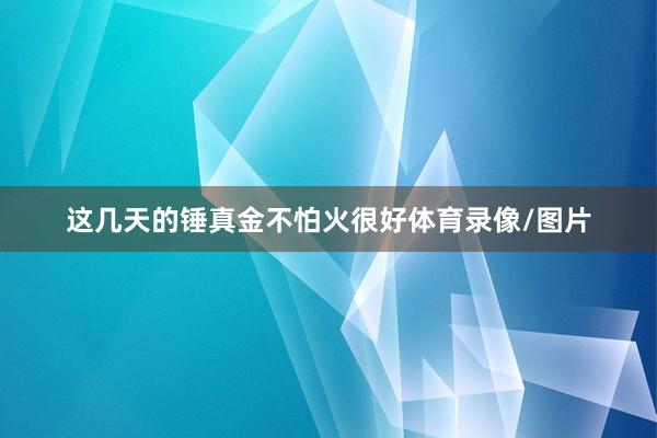 这几天的锤真金不怕火很好体育录像/图片