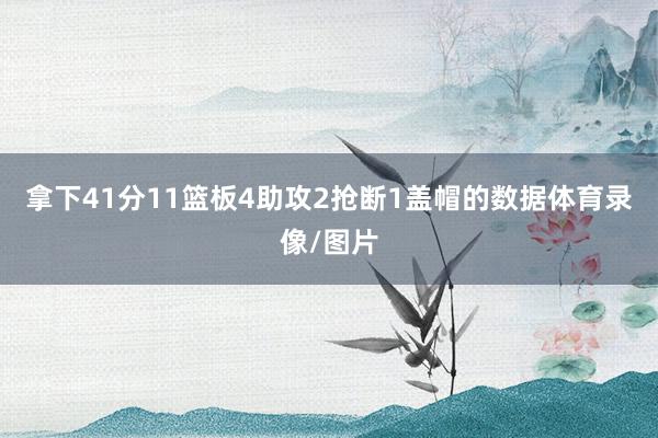 拿下41分11篮板4助攻2抢断1盖帽的数据体育录像/图片